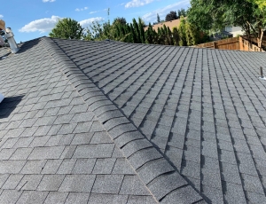 JV Roofing, LLC