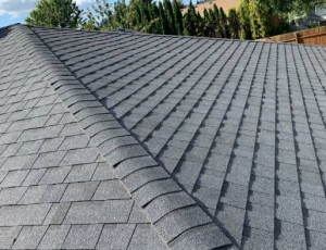 JV Roofing, LLC