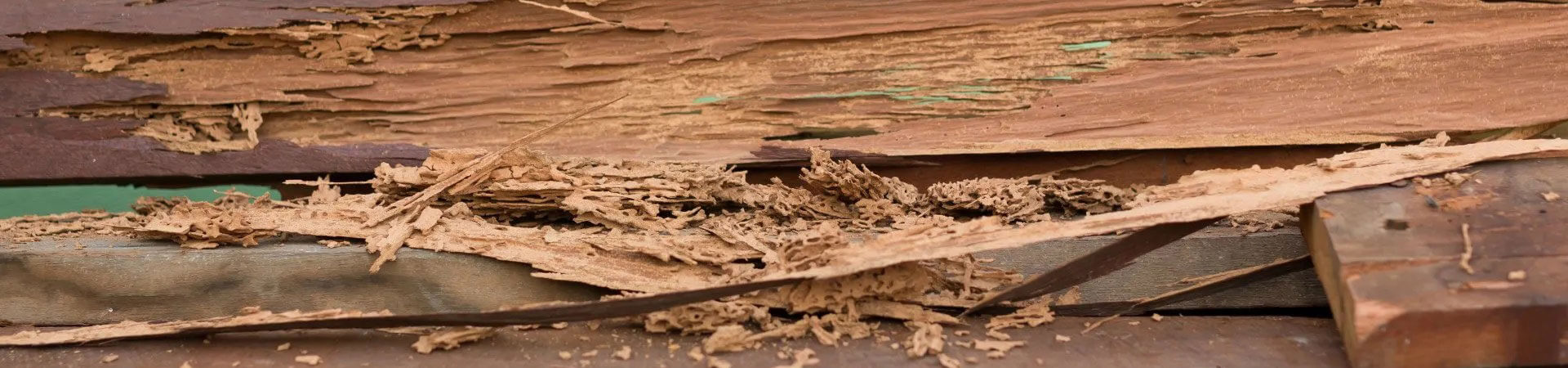 InnerPage Background Image